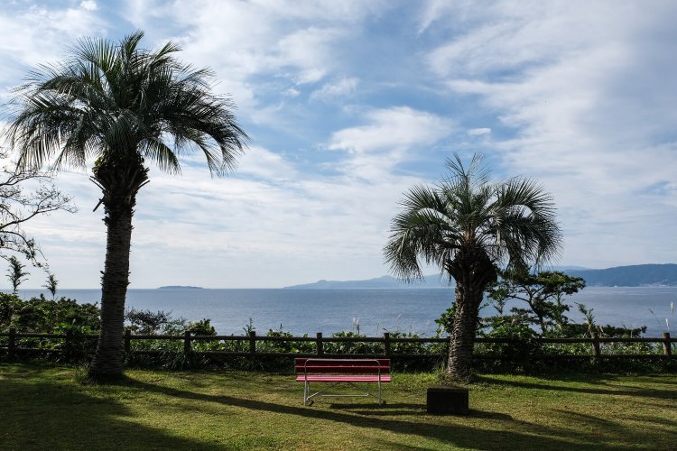 温暖な気候も相まって、公園内には南国風情が漂っている。