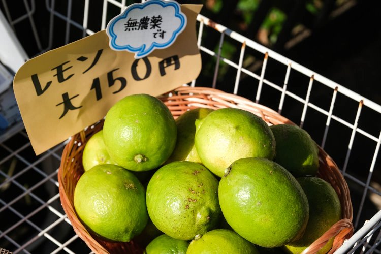 受付脇では無農薬で育てたレモンやライムも販売中。