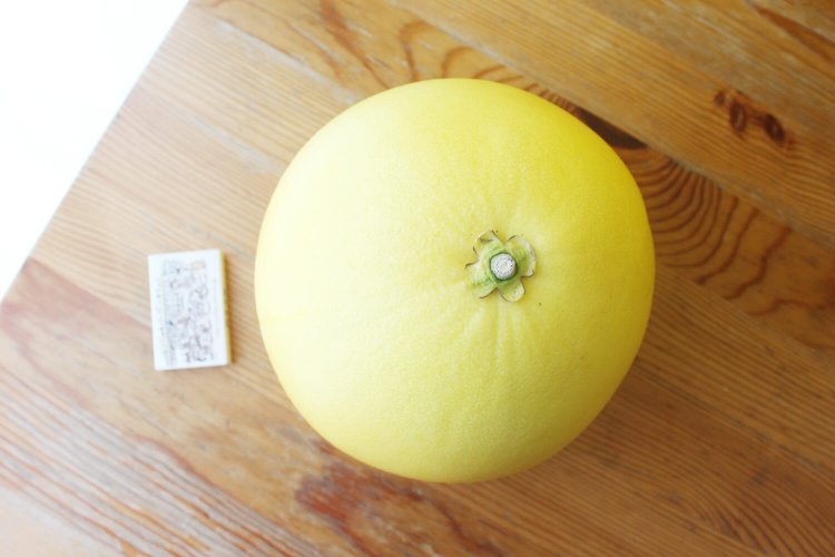 上からもどうぞ。