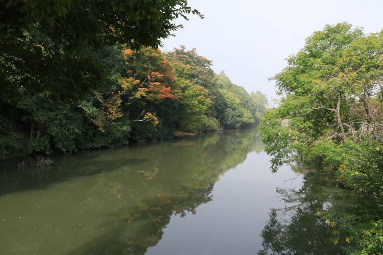 亀山城北側の水堀。絵図と見比べてみて欲しい。