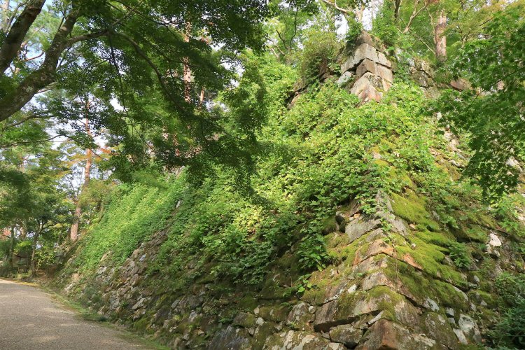 高さ4～5mはある天守石垣。