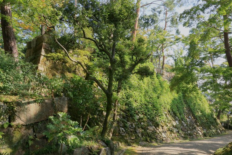 左斜めから。こちらからだと奥行きまでわかる。