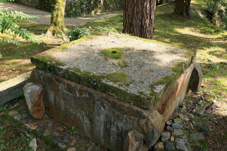 本丸内に残る井戸。江戸時代以前からあったと伝わる。