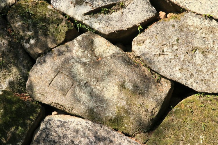 菱形と卍がはっきりわかる。卍＝蜂須賀家？