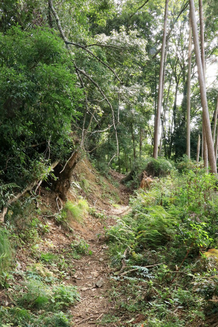 明智越の登山口から伸びる堀底道。