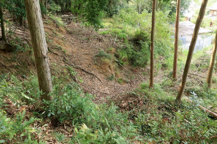 斜面を寸断する一直線の竪堀。