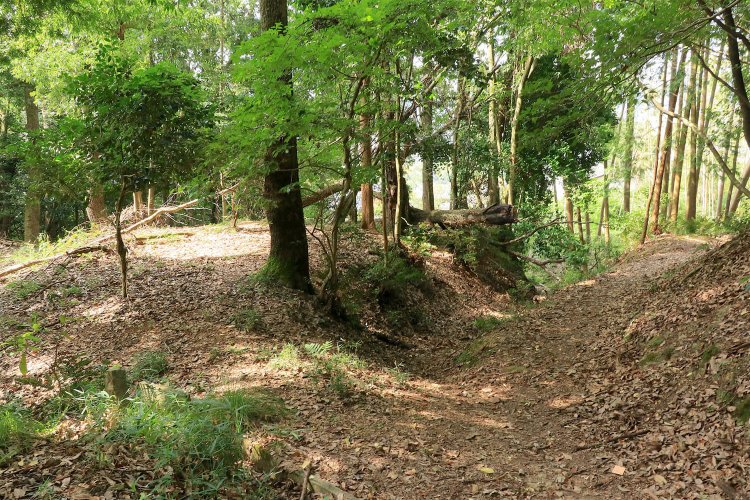 写真中央の凹みが竪堀。左手奥が出丸。