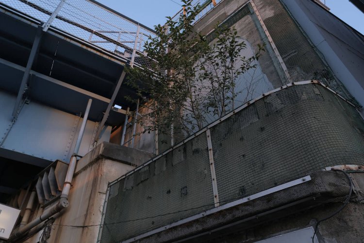 戦時中、機銃掃射を受けた痕跡が残る。点々とした穴がそうだ。