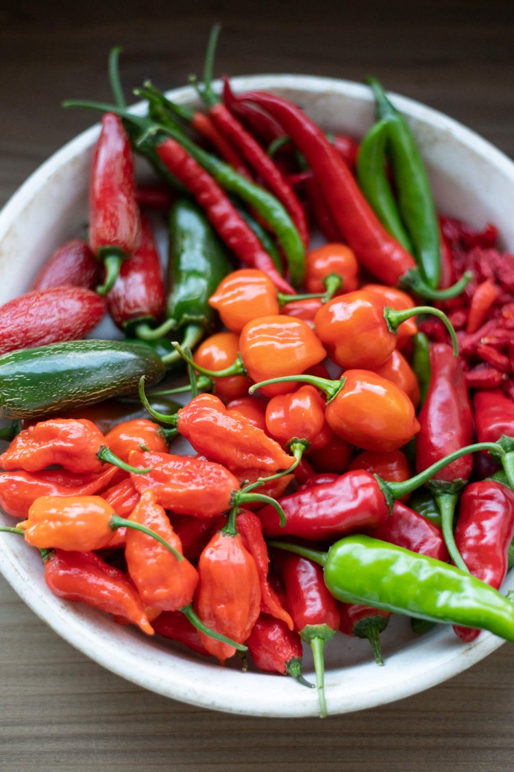 ハバネロ、ブート･ジョロキアなど世界のトウガラシも栽培、ピザ用オイルも作る。野菜直売あり。