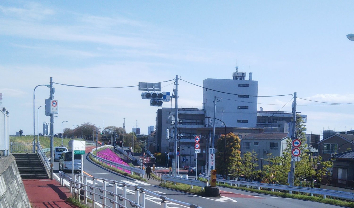 川魚料理屋『川甚』の遠景。金町方面から江戸川の右岸土手を歩いていくとき、『川甚』のビルが見えると柴又に近づいたな〜と思ったもの。まさに江戸川のランドマークでした。
