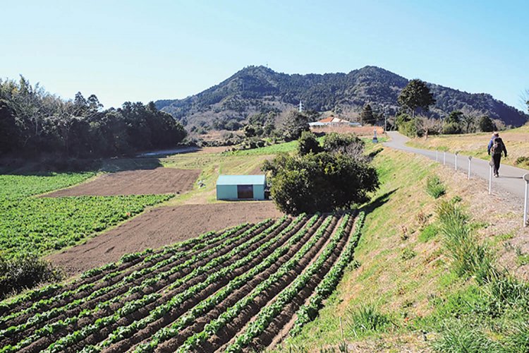 伊予ケ岳から富山へ向かう途中の景色。畑の中の道を歩くが、この辺りも気持ちのいい道。