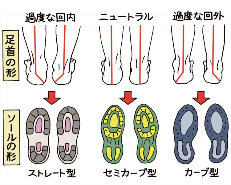 足首が靴の形を選ぶひとつの目安に。回内は足のアーチの内側、回外はアーチの外側でそれぞれ接地する傾向が。