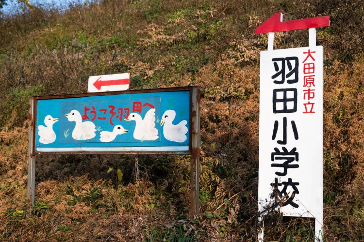 ハクチョウがいかに地元で愛されている存在かが看板から伝わる。