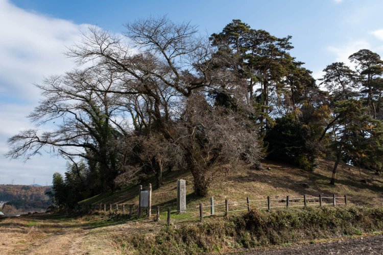 墳丘全長114ｍの規模を誇る上侍塚古墳。