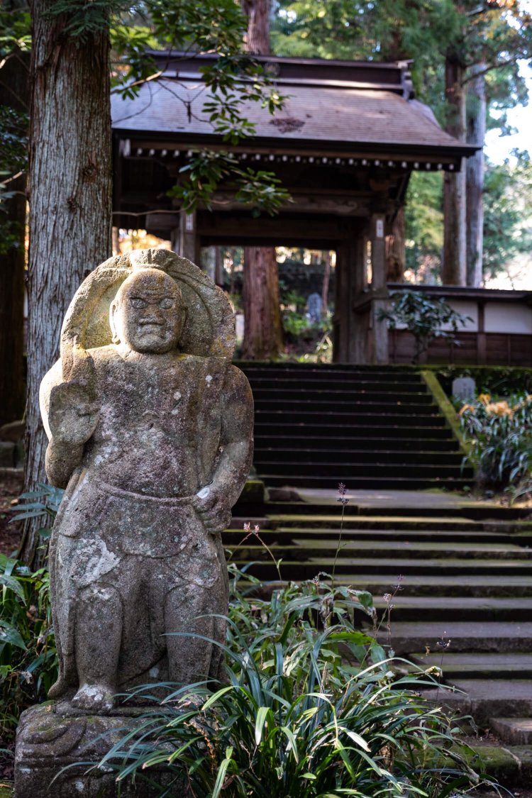 杉木立に囲まれた大雄寺山道で参拝者を出迎える石造りの仁王像。