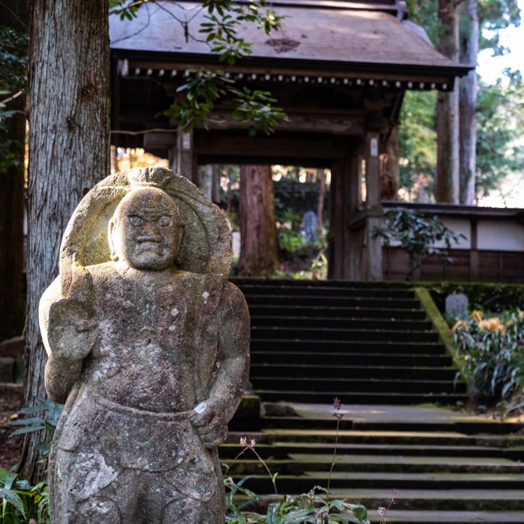 大雄寺（だいおうじ）
