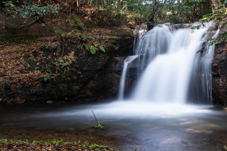 独り占めできる確率が高い、こぢんまりとした滝沢神社不動の滝。