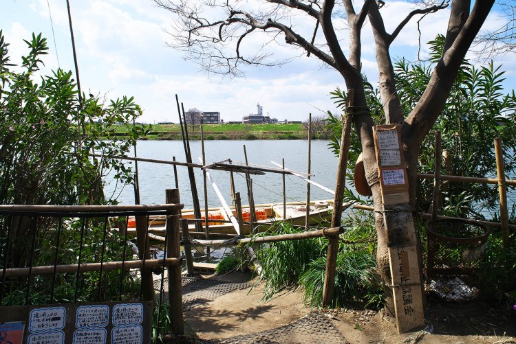 松戸側の渡し舟乗り場から対岸を眺める。右の建物が『川甚本館』で、左のマンション２棟の場所には10数年前まで『川甚』の日本庭園と離れがあった。