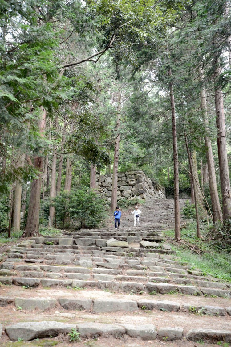 伝織田信忠邸跡から本丸方面。