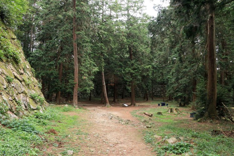 広大な本丸跡の平坦地が見えてきた。