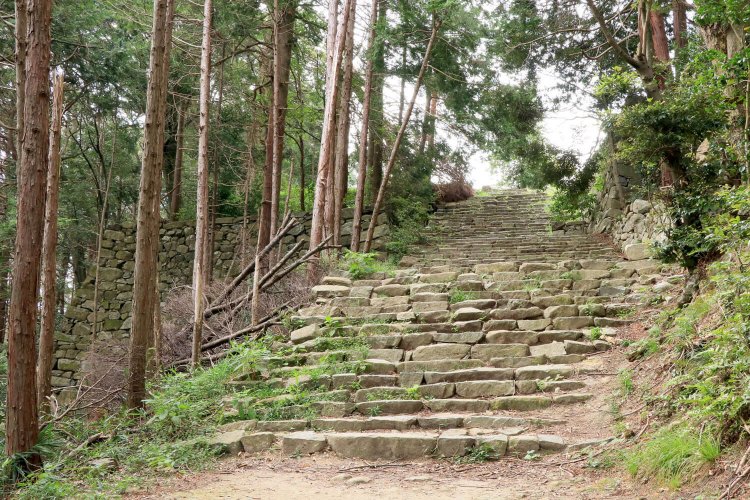 信忠邸跡から数m登ってゆく。