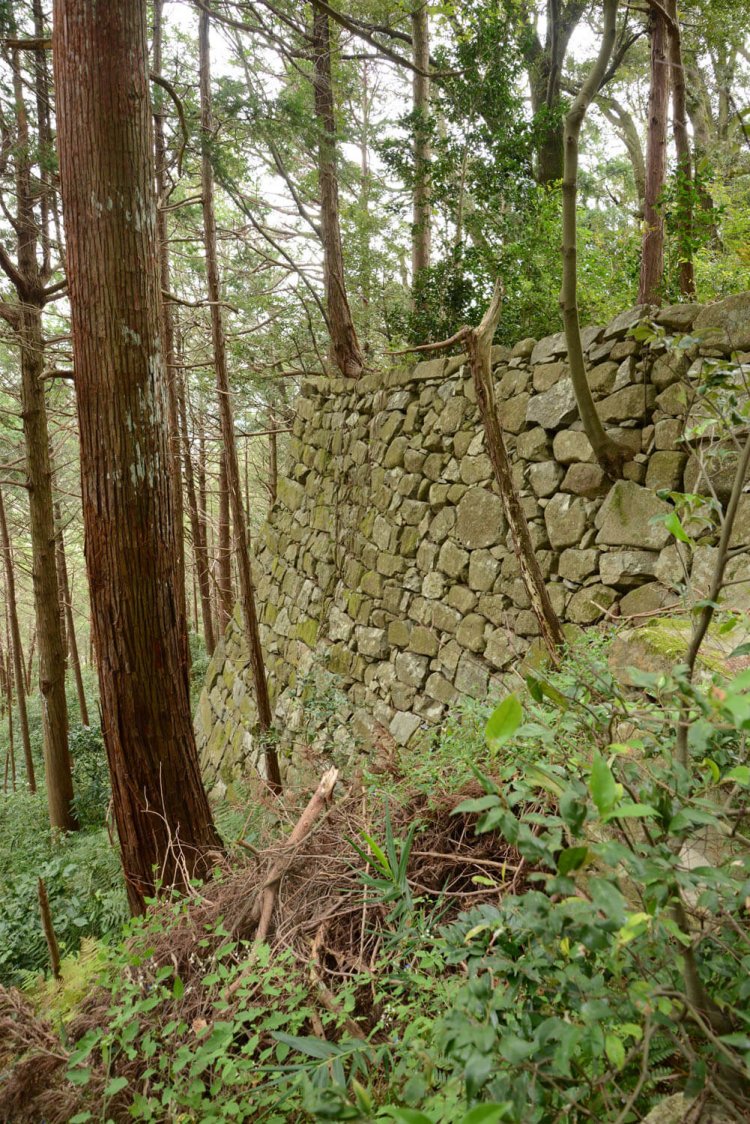 ほぼ垂直に近い野面積み石垣。