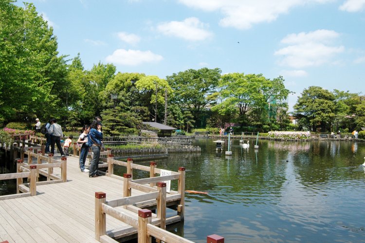 05_荒川自然公園