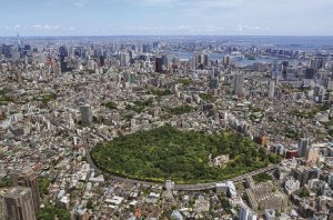 国立科学博物館附属自然教育園
