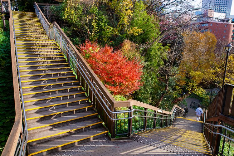 晩秋は、段鼻に連なる黄色とイチョウの黄葉の競演が見事。周辺は自然豊かで、四季折々の景観が待つ。