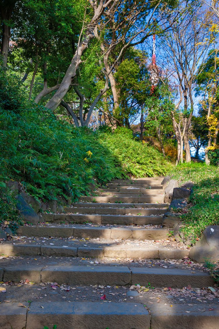 古墳の上の広場北側からの眺め。