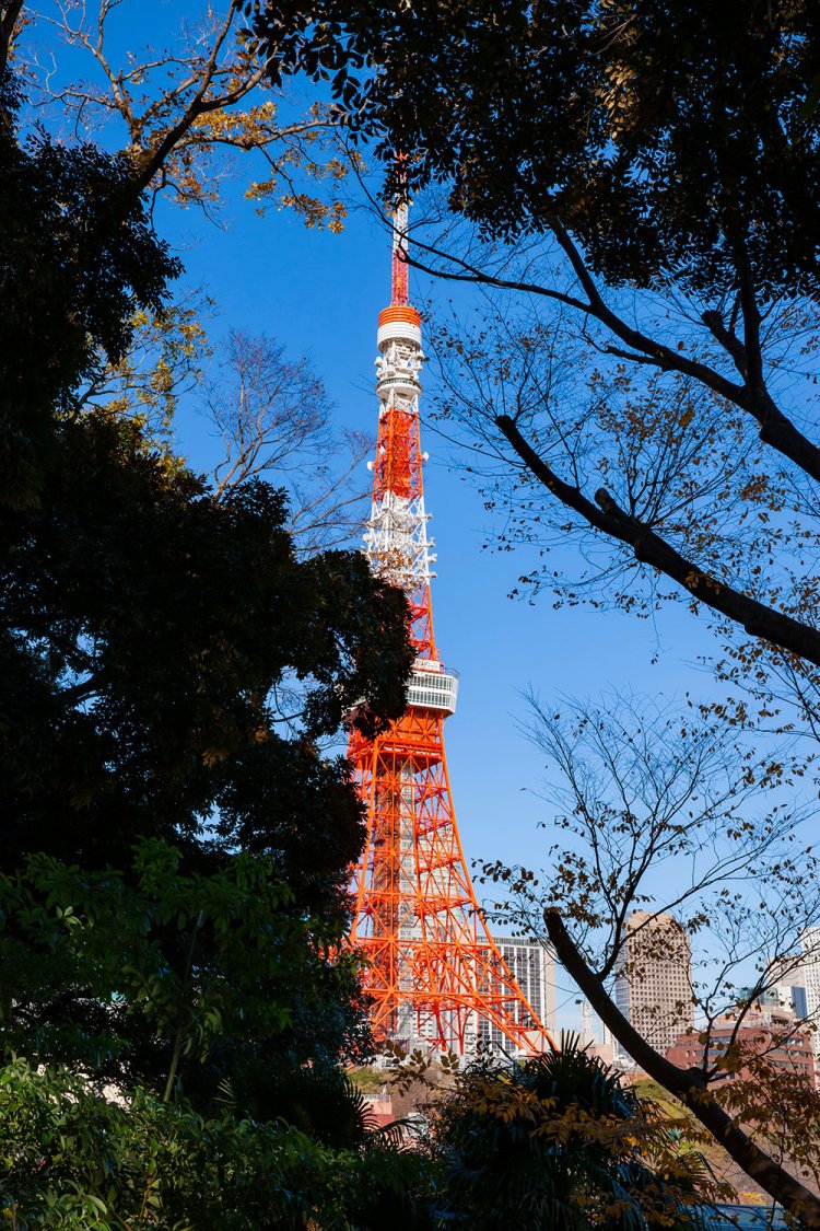 木々が一部視界を遮るが、落葉する冬はよりきれいに東京タワーが見える。