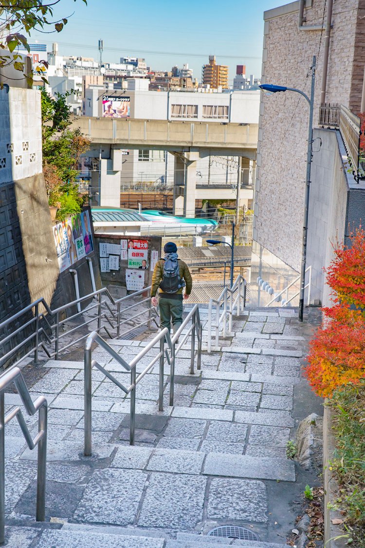 高架を走る東北・上越・北陸新幹線が目の前に。東京新幹線車両センターにゆっくりと入線する新幹線の姿も！