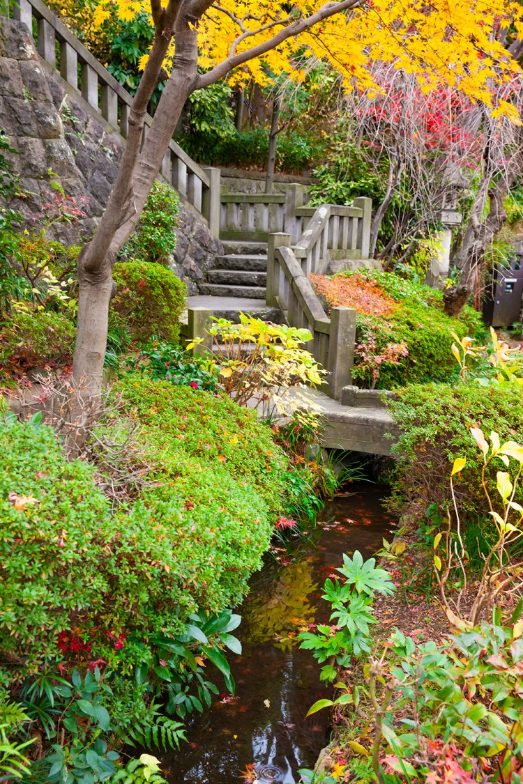 薬師の泉はほぼ枯れているが、庭園の池では水が湧いているとも。