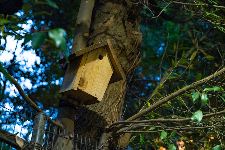 階段下から見えるふれあいの杜の巣箱も、妖怪ポストのごとく。