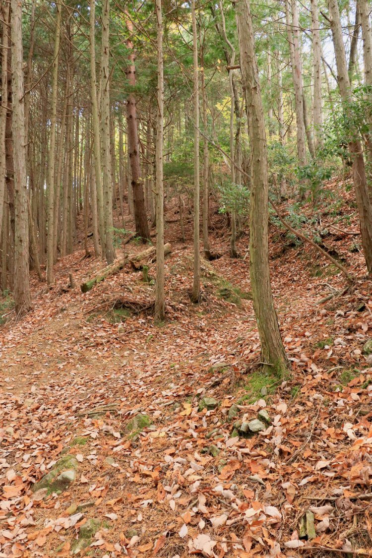 金山城へのはてしなき道のり。まだこれは序の口。