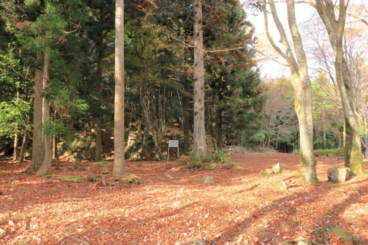 圓林寺跡。木立の中に高さ1mほどの石垣。