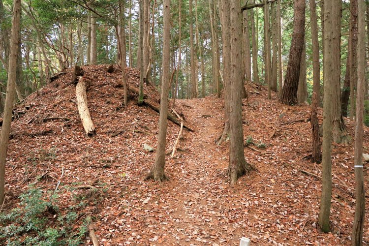 両側に土塁を設けた平虎口。