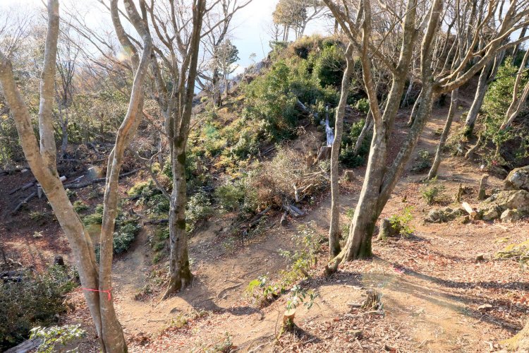 左下が登ってきた道。右手奥が主郭。