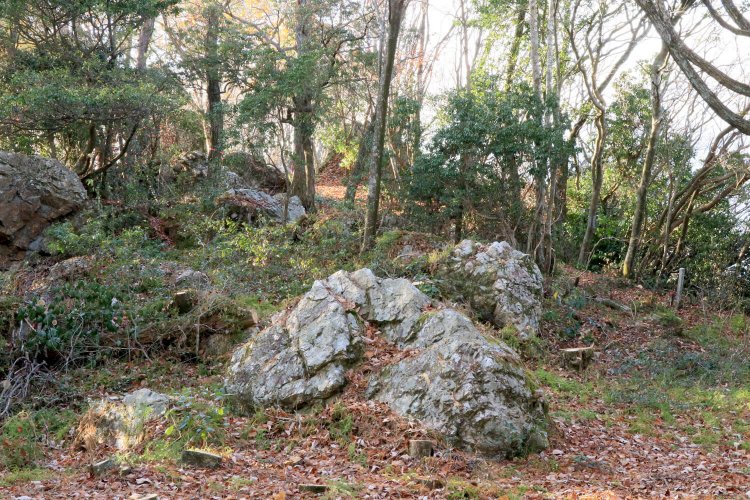東曲輪の東端から郭内を見たところ。
