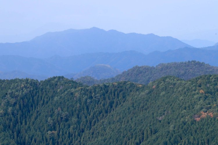 金山城から黒井城を遠望。