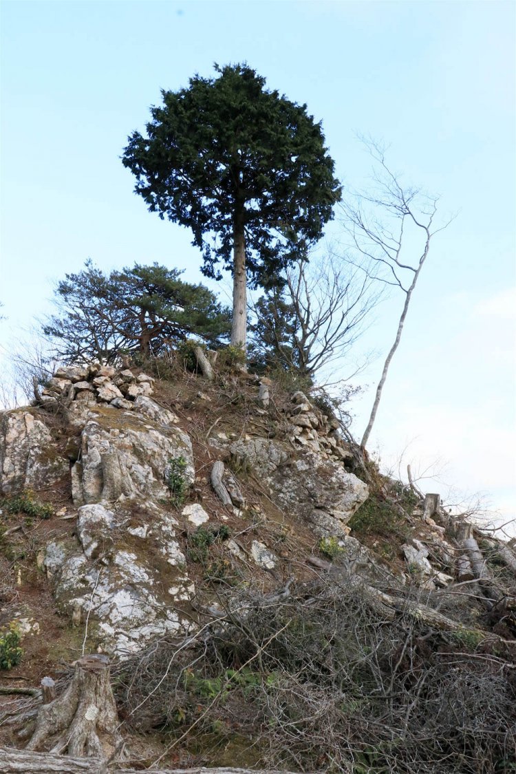 主郭西面の高石垣。