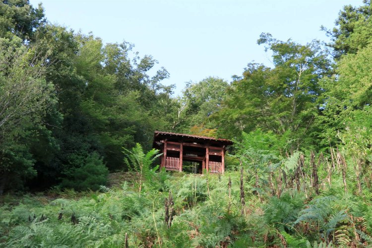 山腹に突然、真っ赤な門。