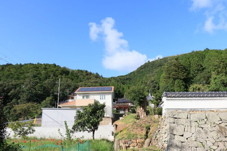 その背後に聳（そび）える黒井城。