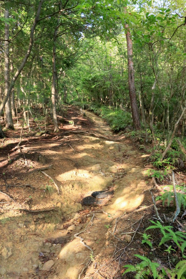 岩盤が階段上に削られている。