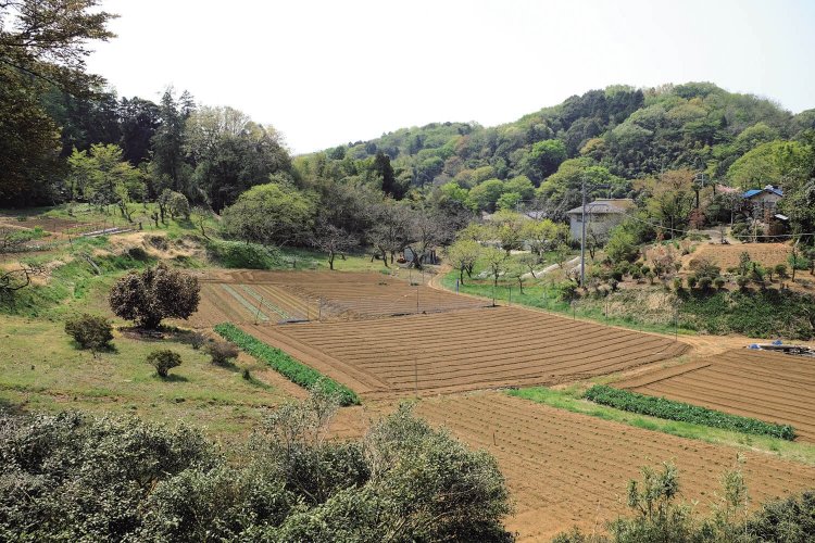 小野路の手前に開けた場所があり、丘陵地帯に畑が作られていた。