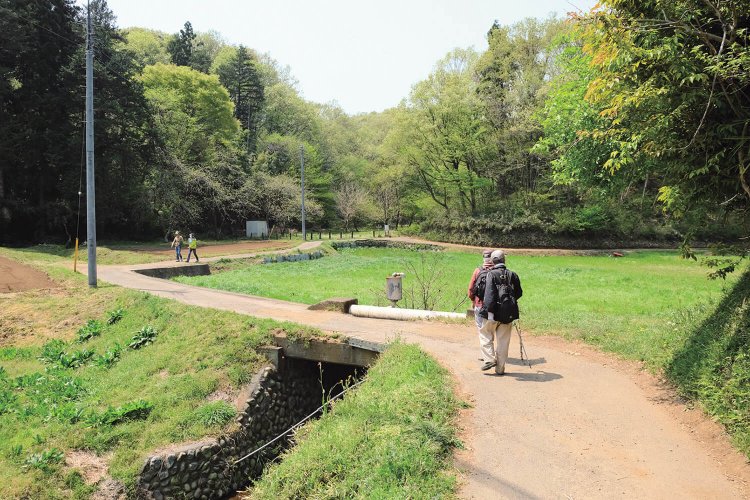 布田道を行くハイカーたち。シニア世代が多いようだ。