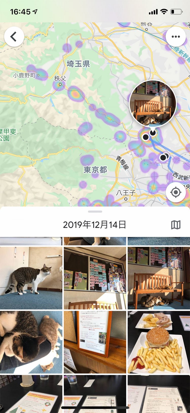 取材で猫カフェに訪れたときの画像が出てきた！