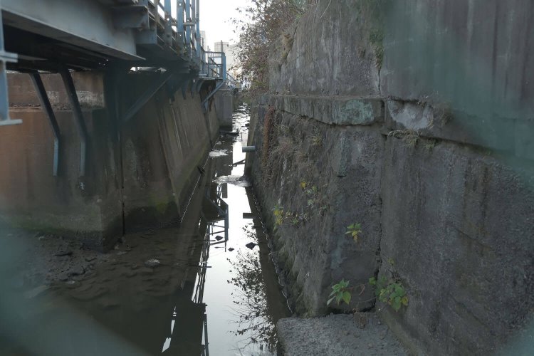 金網越しから水路を覗く。この部分は以前から覗けたが、左の部分は暗渠になっていた。2021年2月撮影。