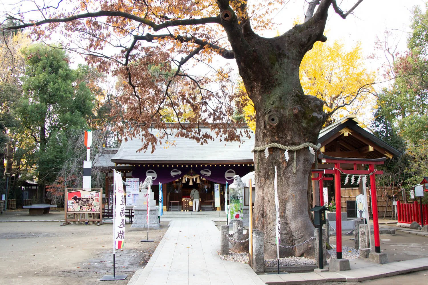 新田神社 東京都 神社 さんたつ By 散歩の達人