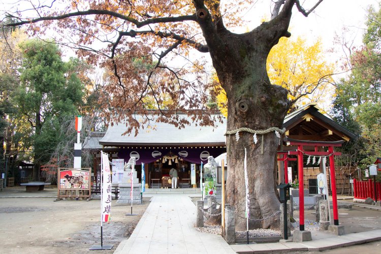 新田神社1